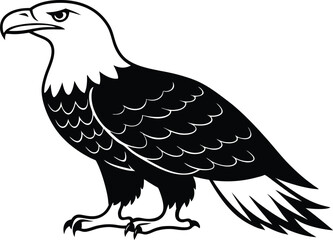 Bald Eagle Vector Illustration - Majestic Bird of Prey Design