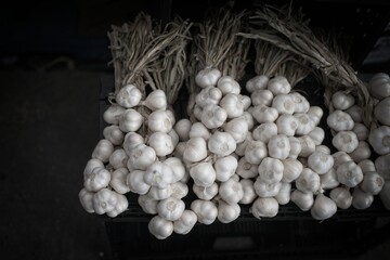 Fresh Garlic Bulbs Displayed Neatly