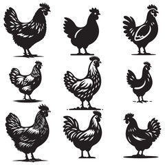 Chicken hen silhouette isolated on white background, Flat vector Farm Animal illustration