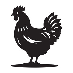 Chicken hen silhouette isolated on white background, Flat vector Farm Animal illustration