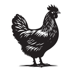 Chicken hen silhouette isolated on white background, Flat vector Farm Animal illustration