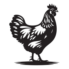Chicken hen silhouette isolated on white background, Flat vector Farm Animal illustration