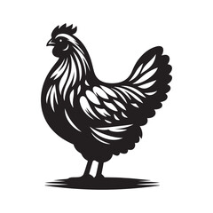 Chicken hen silhouette isolated on white background, Flat vector Farm Animal illustration
