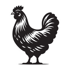 Chicken hen silhouette isolated on white background, Flat vector Farm Animal illustration