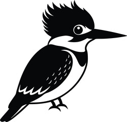 Belted Kingfisher on Vector Illustrator Design