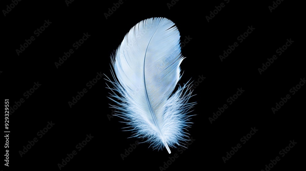 Poster   A white feather on a dark backdrop, with its reflection reflected on the right side