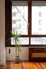 living room with a window in Spain