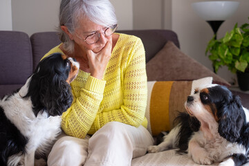 Sad senior woman sitting on sofa at home with hands on face close to her cavalier king charles...