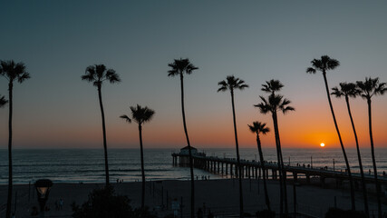 Obraz premium Palm trees and Pier on Manhattan Beach at sunset in California, Los Angeles, USA.