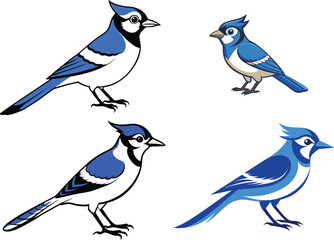 Blue Jay silhouette vector art illustration.