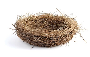 Empty bird's nest isolated on white background.