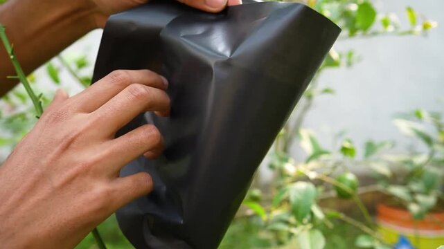 Covering Graft Cup with Black Plastic for Protection