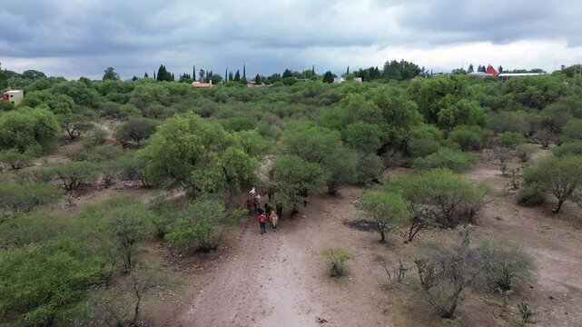 Pastorear vacas y ovejas es un arte en el que el Pastorcito es mirado con amor. sus ovejas lo escuchan. Pues bien, en este desierto con las tomas de drone la prueba que &eacute;l pastorea sus ovejas. 