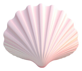 PNG Shell clam invertebrate simplicity.