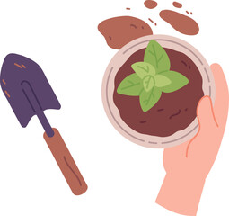 Planting houseplant in ceramic pot. Home garden work