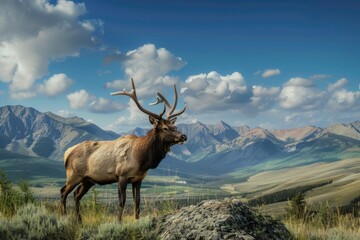 Fototapeta premium Majestic Elk in Mountain Landscape. Stunning scenery with elk in foreground and mountains in background. AI-generated nature photography showcasing wildlife in natural habitat. Vivid colors