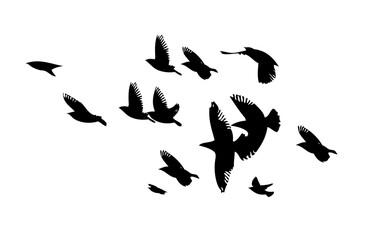 Flying birds silhouette flock. hand drawing. Not AI. Vector illustration