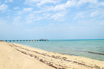 Fototapeta premium Beach and the pier