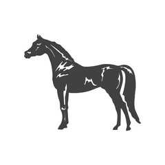 Horse glyph. Horse icon. Horse logo. Horse silhouette
