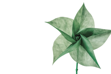 A vibrant green pinwheel spins against a solid white backdrop, symbolizing the vital concepts of ESG - Environmental, Social, and Governance