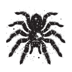 silhouette of tarantula, filled with space and sci-fi element in rough drawing, animal,