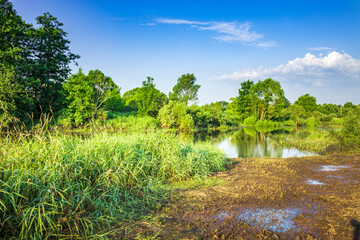 A lush green field with a river running through it