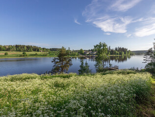 A beautiful lake with a lot of grass and trees in the background