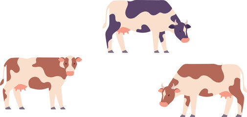 Obraz premium Cows color icon. Farm livestock. Domestic animals