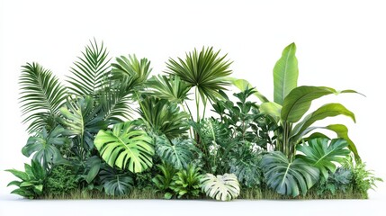 Tropical Plants, Isolated On White Background, Ideal For Gardening And Home Decor Content . Generative ai