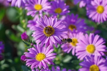 A cluster of purple flowers with a busy bee hovering nearby, great for illustrations about nature, gardening or environmental topics
