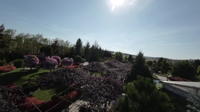 This is a video of a beautiful garden with a replica of the Statue of Liberty. The garden is full of colorful flowers and lush greenery, and the statue is a striking focal point. The video is taken
