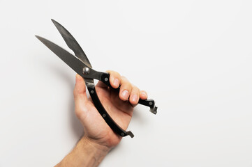 Obraz premium Male hand holding garden pruning shears on white background. Scissors for pruning flowers both garden and home