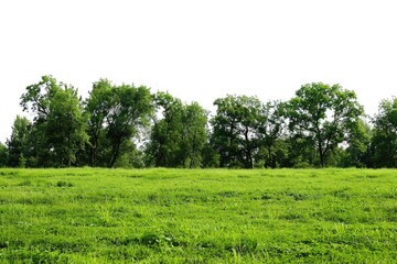 Fototapeta premium A scenic view of a green field with trees in the background, suitable for outdoor or nature-related themes