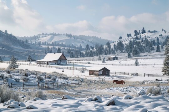 A horse stands alone in a snow-covered field, ready for a winter adventure