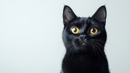 Obraz premium A black cat with yellow eyes is sitting on a white background The cats eyes are wide open giving it a curious and alert appearance : Generative AI