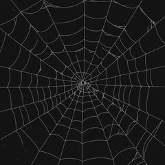 Obraz premium black and white spider web illustration
