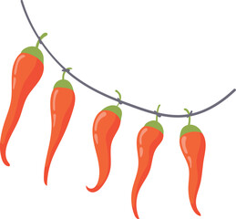 Red peppers hanging on string. Drying vegetables