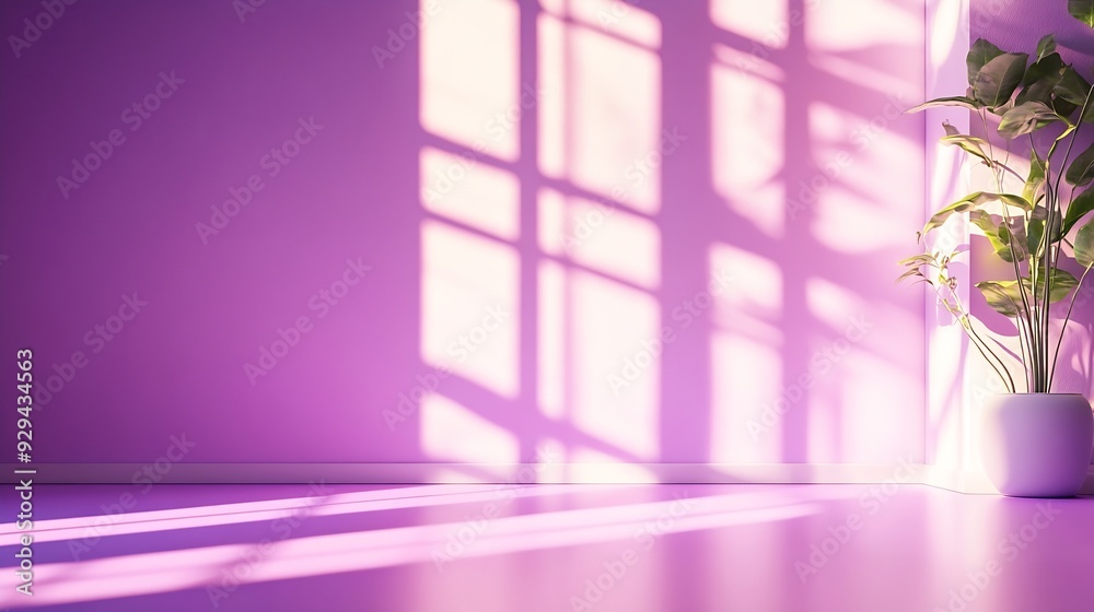 Leinwandbilder Abstract purple studio background for product presentation Empty room with shadows of window Display product with blurred backdrop : Generative AI