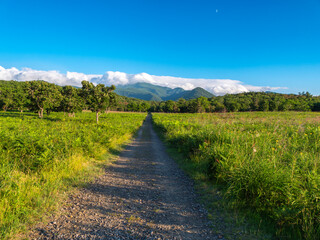 Trekking pathway  in the mountains