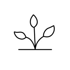plant seed icon