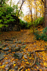 Indian Village Canyon in Autumn, Duranceau Park, Columbus, Ohio