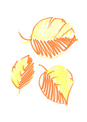 Autumn yellow apple tree leaf, hand-drawn with a felt-tip pen on a white background. Autumn leaf with felt-tip pen in doodle style, isolated element