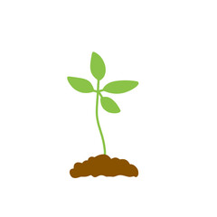 illustration of plant growth