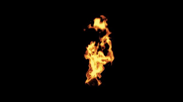 Fire Torch 03 Loop HD