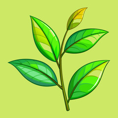 Green tea branch with two leaves stock illustration