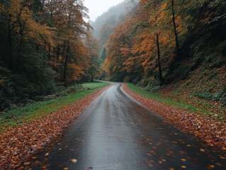 Fototapeta premium A road with leaves on the ground and a wet road