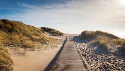 boardwalk in the beach sand dunes