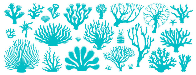 Isolated underwater sea coral reef and seaweeds algae, vector cartoon icons. Undersea and ocean underwater fauna and marine plants, abstract corals or actinia and tropical aquatic flowers