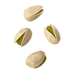 Vector illustration of pistachio nuts, isolated on white background.