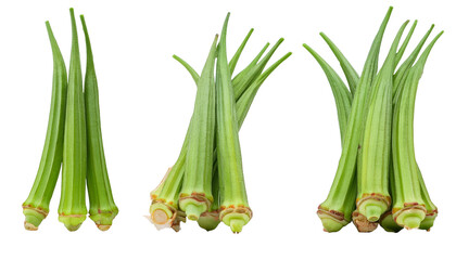 Set of drumstick vegetable front view full length on transparency background PNG